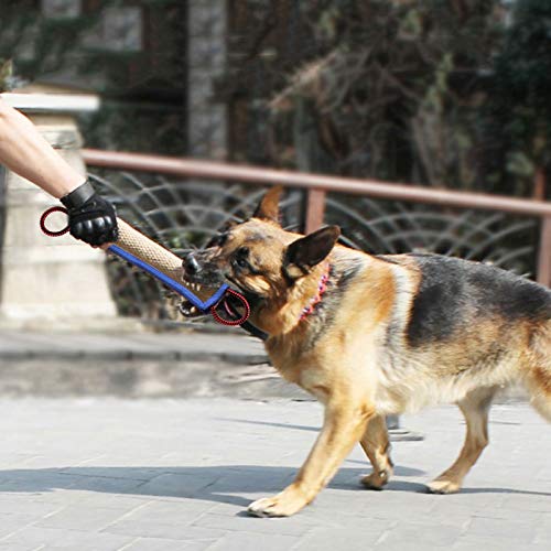 onebarleycorn – mordedor perro, con dos asas, 30 cm - Embutido de manguera, K9 dummy y motivador canino resistente y duradero - juguetes para perros de entrenamiento