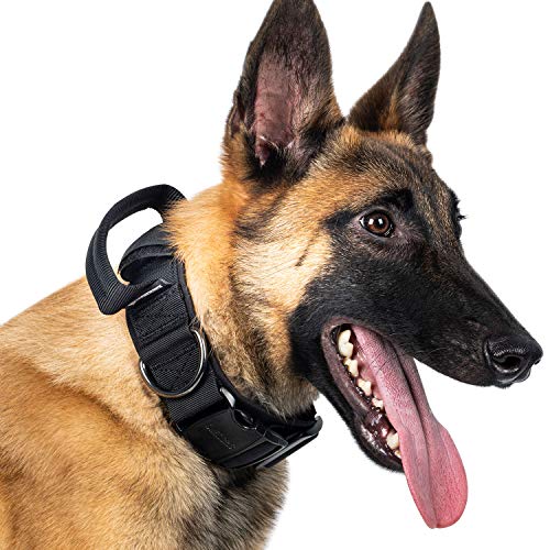 OneTigris K9 Collar con hebilla de metal para perros | Paquete múltiple (L)