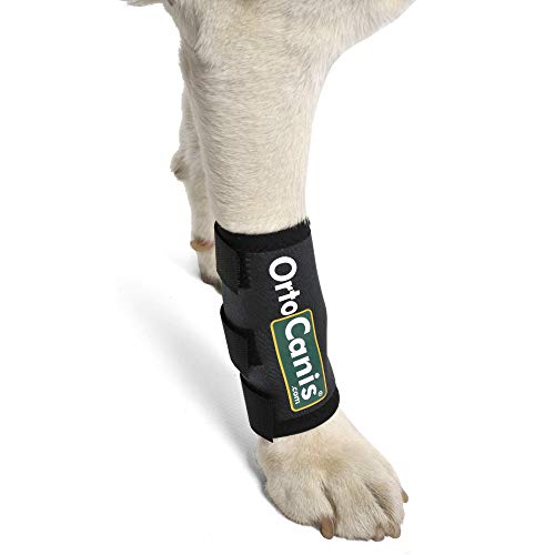 Ortocanis - Muñequera para Perros con artrosis, Lesiones a ligamentos, tendones o Perros Que practican Agility - Talla M