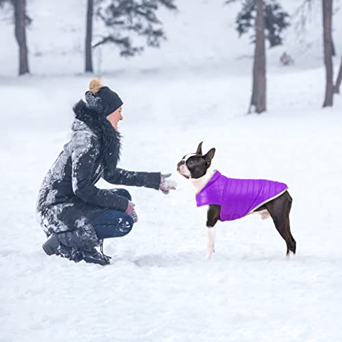 Oslueidy Abrigo de Perro Reversible,Chaqueta de Invierno para Perros Chaleco de Cachorro Caliente Ropa Impermeable para Mascotas Snowsuit de Perros para pequeños Perros Grandes
