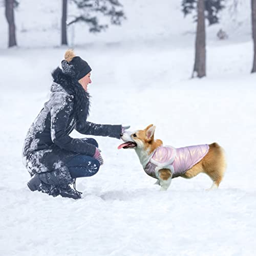 Oslueidy Abrigo Impermeable de Invierno para Perro,Chaqueta cálida para Perro Chaleco Traje de Nieve a Prueba de Viento Ropa para Perros con Orificio el arnés Perros pequeños medianos y Grandes Gato