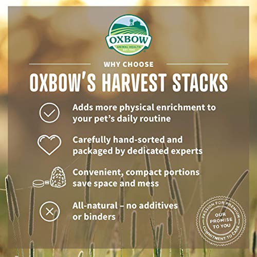 Oxbow HARVEST STACKS Western Timothy Little Animal pet Food Gerbil Hamster 992 g