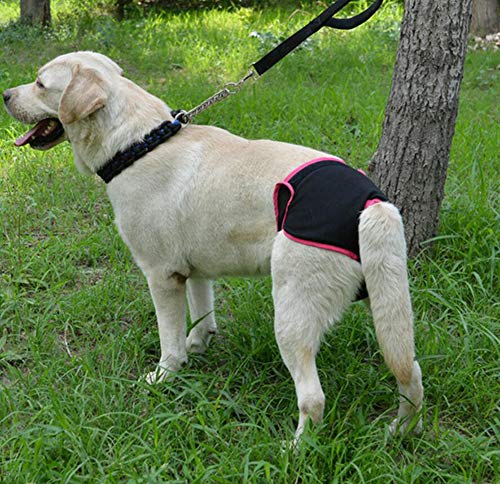 Oyccen 2 Piezas Pañales Reutilizables Pantalones Fisiológicos para Perros Pequeños Medianos y Grandes Ropa Interior Hembra Mascota Bragas Sanitarias Higiene Pañal