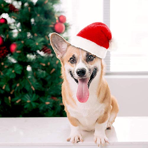 Pack 3 Gorros Pequeños de Papá Noel para Perros y Gatos Disfraz de Navidad de Mascotas