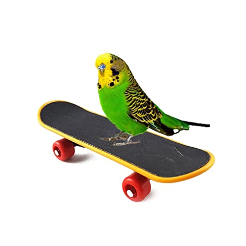 Pájaro Loro Juguetes Entrenamiento Stand Skateboard Stand Perca para periquitos periquitos Cockatiels Lovebird Conure Divertido talbe Juguete, monopatín Loro