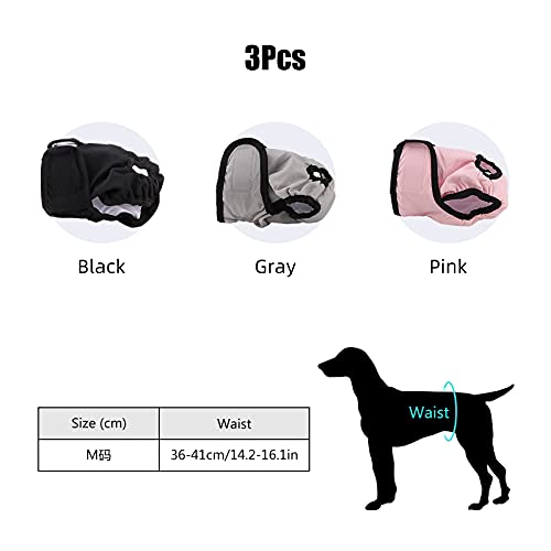 Pañales Lavables para Perros,3 Pcs Pañales para Perros Pañales Ajustables para Perros Pañales Reutilizables para Perras Pantalones de Pañales para Perros para Varios Tipos de Perros Domésticos M