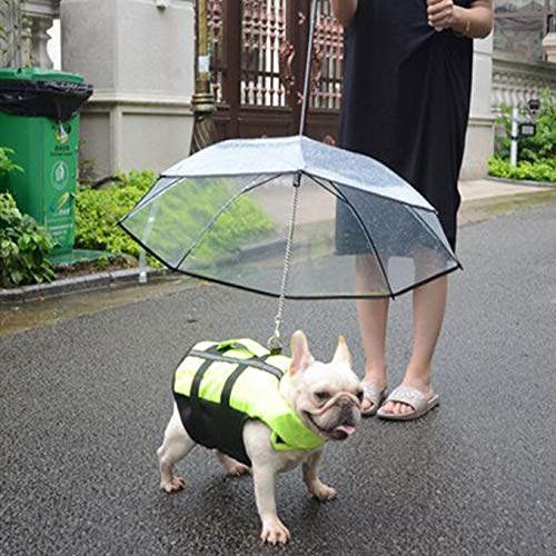 Paraguas para perros con correa, apto para perros pequeños y medianos, transparente, apto para nieve y lluvia