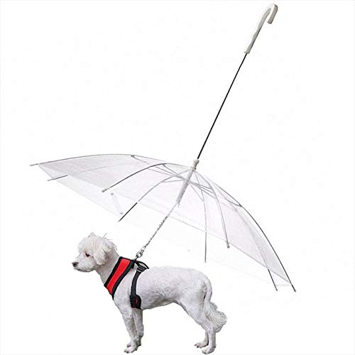 Paraguas para perros con correa, apto para perros pequeños y medianos, transparente, apto para nieve y lluvia