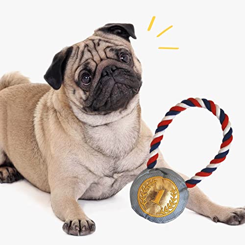 PATAS BOX - Medalla de Oro - Talla M y L - Peluche para Perro - Mordedor para Perros de Todas Las Edades - Fabricado con Poliéster - Tecnología Silvershield - Repele los Malos Olores