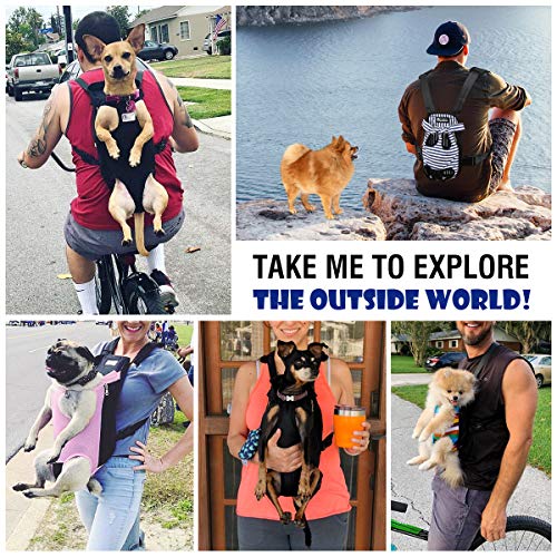 Pawaboo Mochila del Perro - Adjustable Bolsa Delantera Pet Front Cat Dog Carrier Backpack/Piernas Afuera & Fácil de Ajustar para Viajar/Senderismo/Camping, Talla M - Rayas Azul y Blancas