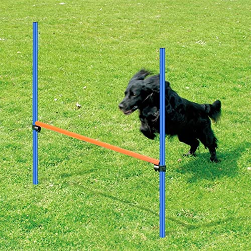 PAWISE Mascotas Perros Juegos al aire libre Agilidad Equipo de Entrenamiento de Agilidad Kit de Inicio de Arro de Arro de B