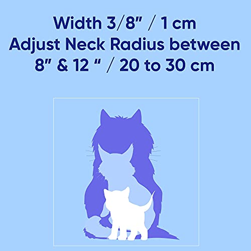 Pawtitas Collar de Gato Brilla en la Oscuridad con Hebilla de Seguridad y Cuello de Gato Campana Desmontable Collar de Gatito Gris Collar de Gato
