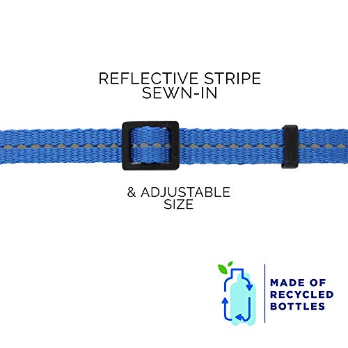 Pawtitas Collar para Gato Reciclable de Botellas de plastico con Cascabel removible y Cierre Seguridad para Sus Mascotas | Collar de Gato Reflectante con Hebilla de Seguridad - Collar Azul Oceano