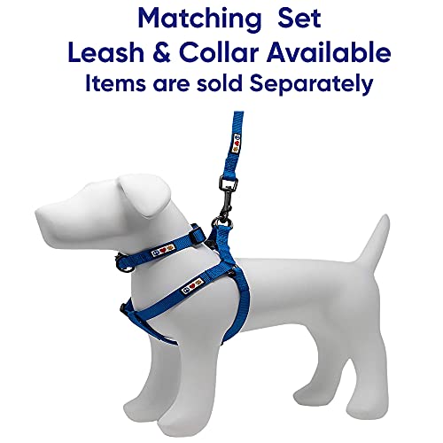 Pawtitas Collar para Perros Ideal para el adiestramiento de tu Mascota, Collar de Perro cómodo y Duradero con Anillo de Metal para Etiqueta de Nombre - Collar Color Azul XS