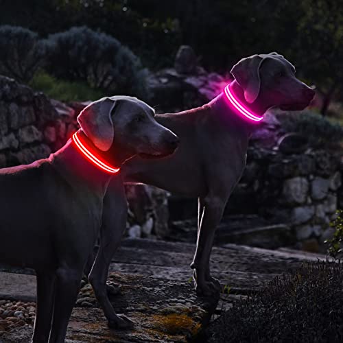 PcEoTllar Collar Luminoso para Perros Recargable LED Collar para Perros 3 Modos de Iluminación Impermeable Ajustable Súper Brillante para Perros Pequeños Medianos Grandes Caminata Nocturna - Rosa S