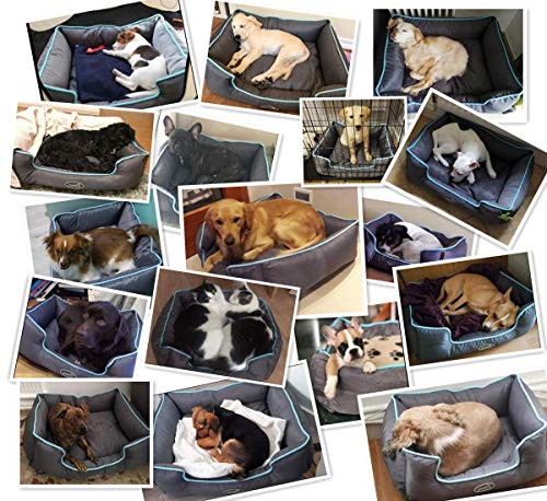 Pecute Cama de Perros y Gatos Alfombra para Mascotas Tela Impermeable Desmontable y Extraíble (M:63 * 53cm)