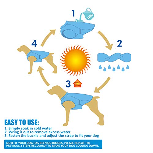 Pecute Chaleco refrigerante para Perros Chaleco de Enfriamiento para Perros y Gatos de Verano Cómodo Transpirable para Mascotas Pequeños, Medianos y Grandes, Apto para Interior y Exterior (M, Azul)