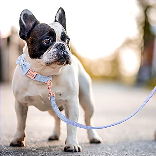 PET ARTIST suave y cómodo Collares personalizados para perro con pajarita desmontable,lindo collar y correa para perro con hebilla de oro rosa,collares ajustables para perros pequeños medianos grandes