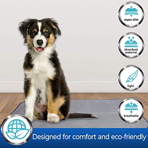PET MAGASIN Toallitas de Entrenamiento para Mascotas, Paquete de 3, Almohadilla de Entrenamiento Lavable y Reutilizable (XS)