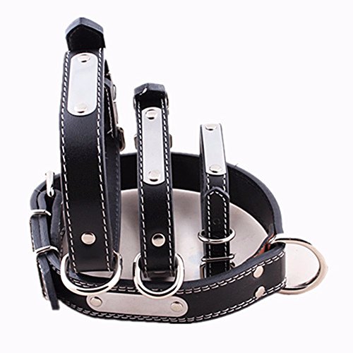 Pet Online Collar de perro de cuero moderno pet collar de moda, negro XL: 53-63cm.