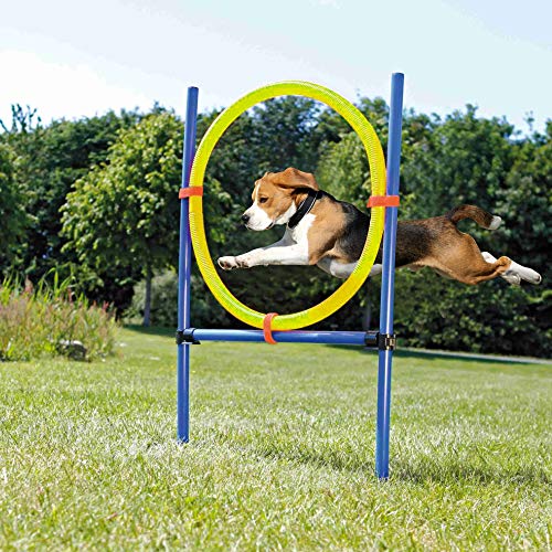 Pet Prime Mascotas Perros Juegos al aire libre Agilidad Equipo de Entrenamiento de Agilidad Kit de Inicio de Arro de Arro de B