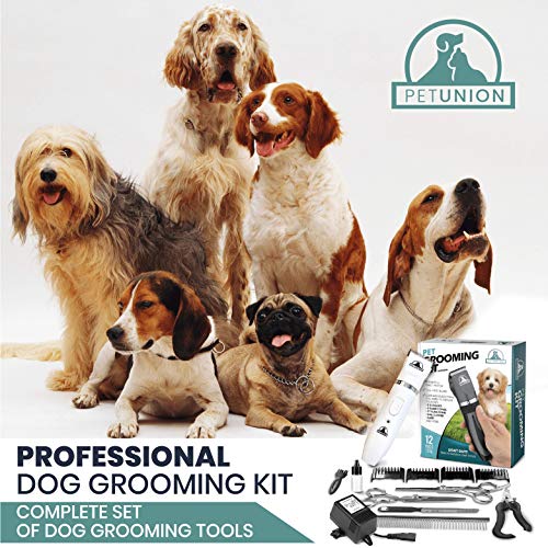 Pet Union Professional Dog Grooming Kit - Cortapelos recargables e inalámbricos para mascotas y juego completo de herramientas para el cuidado de perros. Poco ruido y apto para todas mascotas (blanco)