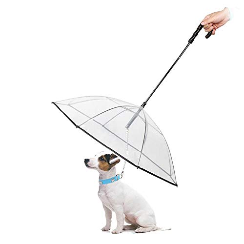 PETEMOO Perro Paraguas con Cuerda para hundegehen al Aire Libre (Nieve/Lluvia)