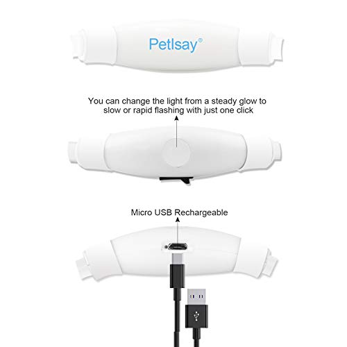PetIsay Collar de Perro Iluminado, con luz LED, para Senderismo y Paseos nocturnos, Recargable por USB, Resistente al Agua, Cortado para Adaptarse a Cualquier tamaño, Color Blanco