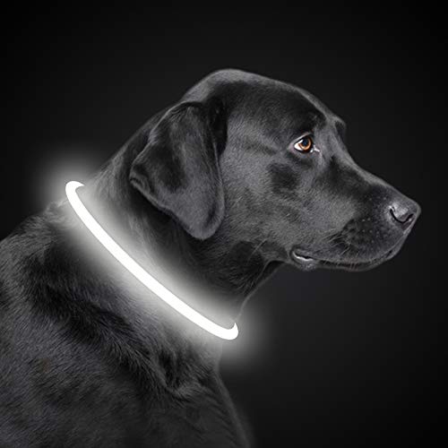 PetIsay Collar de Perro Iluminado, con luz LED, para Senderismo y Paseos nocturnos, Recargable por USB, Resistente al Agua, Cortado para Adaptarse a Cualquier tamaño, Color Blanco