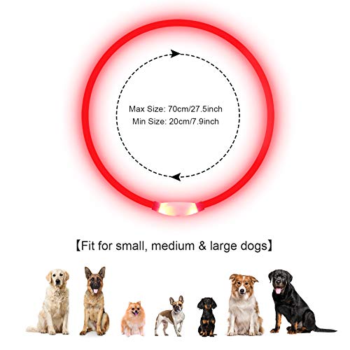 PetIsay Collar de Perro LED, USB Recargable Collar de Seguridad para Mascotas Impermeable hasta la Longitud de 70 cm (27.5in) Collar de Destello Ajustable (Rojo)