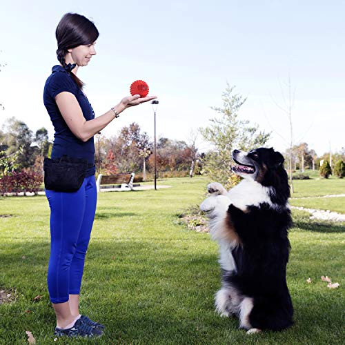 PETIZER Juguete de bola para perros Squeaky para masticar agresivo, indestructible, duradero, para perros grandes, masticar bolas con punta | Juguete de goma flotante para razas medianas y grandes