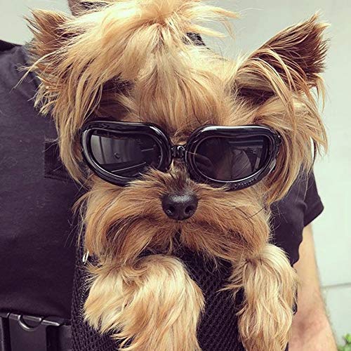 PETLESO Gafas de Sol para Perros, Resistentes al Agua, UV, para Perros pequeños, Color Negro