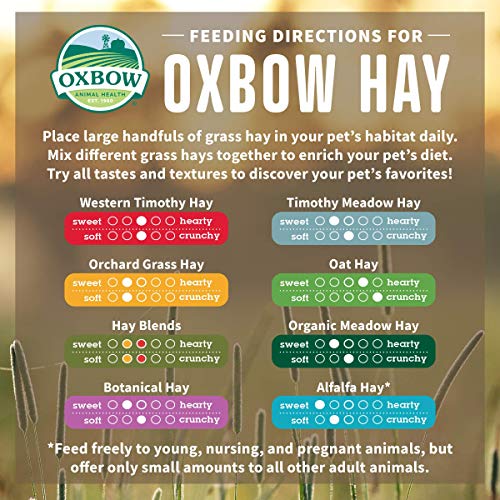 Petlife Oxbow Alfalfa Hay for Small Pet, 425 g