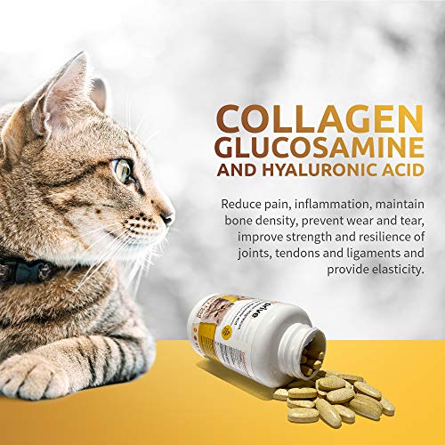 Petprive Suplemento Natural Antiinflamatorio Condoprotector para Perros y Gatos con Colágeno Hidrolizado, Glucosamina, Ácido Hialurónico, Magnesio, Vitamina C y D y Garra del Diablo