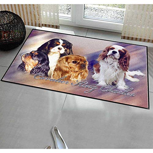 Pets-easy Cavalier King Charles sobre alfombra de suelo de perro de compañía