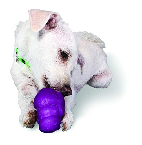 PetSafe Busy Buddy Ardilla - Juguete para Perros, Juguete Dispensador de Golosinas - Mediano