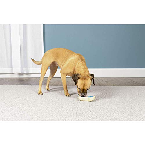Petsafe Busy Buddy Forever Bone Dog Chew Toy Juguete para Morder, Medium