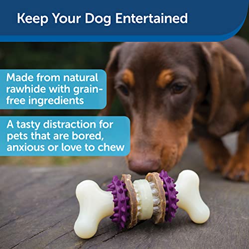 PetSafe Cepillo y Juguete en Forma de Hueso para Perros Busy Buddy