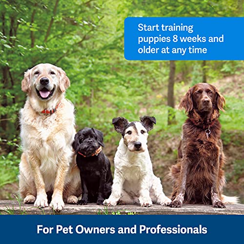 PetSafe Click-R - Herramienta Adiestramiento Perros, Incluye Cómoda Cinta para El Dedo, Adiestramiento con Recompensa, Entrenamiento Perros Refuerzo Positivo, para Perros a Partir de 8 Semanas