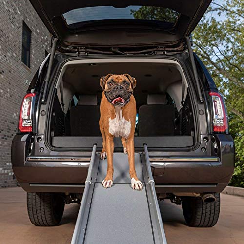 PetSafe Rampa telescópica compacta para perros Happy Ride - Adecuado para automóviles, vehículos grandes y 4x4 - Marco de aluminio resistente y ligero que admite sus mascotas de hasta 136 kg