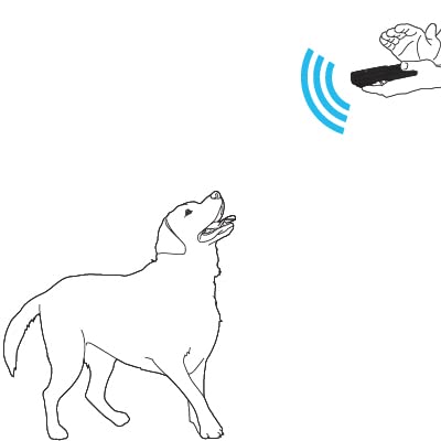 PetSafe - Sistema de Adiestramiento para Perros por Ultrasonidos Sin Collar, Entrenamiento Positivo para Perros, Control Remoto, Hasta 9 Metros