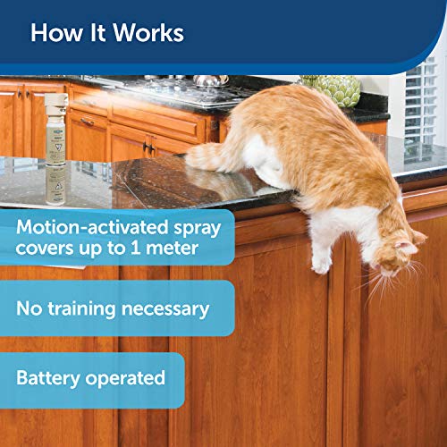 PetSafe Spray Repelente Ssscat para Mascotas De, Repelente Activado por Movimiento para Gatos Y Perros, Respetuoso con El Medio Ambiente 429,1 ml