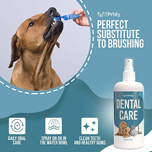 Petsly Spray Dental Perros y Gatos con Hierbabuena - Enjuague Bucal Perros para Mal Aliento de Perros - Spray Anti Sarro Orgánico para Mal Olor Boca Perro - Alternativa a Cepillo Dientes Perro, 100ml