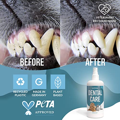 Petsly Spray Dental Perros y Gatos con Hierbabuena - Enjuague Bucal Perros para Mal Aliento de Perros - Spray Anti Sarro Orgánico para Mal Olor Boca Perro - Alternativa a Cepillo Dientes Perro, 100ml