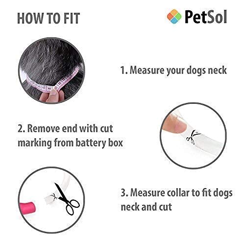 PetSol LED Collar Perro Collar de Seguridad LED Recargable Ultra Luminoso para su Mascota batería de Litio Recargable Mayor Visibilidad y Seguridad Talla única para Todos los Perros y Gatos (Rosado)