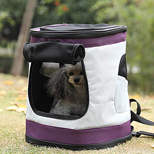 PETTOM Mochila para Perro Gatos Conejo Transpirable Plegable Pet Backpack para Mascotas de Peso hasta 8 kg Transportín con Fondo Rígido Viaje Aero Tren Trekking Bici Moto Morado