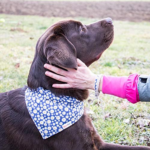 pettsie Collar de perro con bandana y pulsera de la amistad, tallas XS, S, M y L, regalo ideal para los amantes de los perros en caja de regalo (L, azul oscuro)