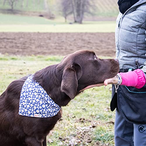 pettsie Collar de perro con bandana y pulsera de la amistad, tallas XS, S, M y L, regalo ideal para los amantes de los perros en caja de regalo (L, azul oscuro)