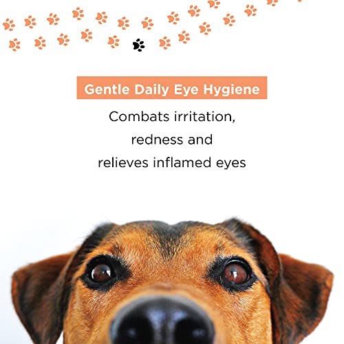 PETUCHI Limpiador de Ojos para Perros Bio; Desinfecta y Calma Ojos Irritados; Spray Colirio Natural; 150ml