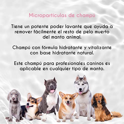 Petuxe Champú Vegano para Mascotas Champú Concentrado en microparticulas. Champú Perros. Champú Gatos.Todas Las Razas. Uso Profesional Peluquero canino. - 500 gr (equivale a 50L)